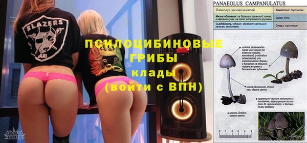 шишки Абдулино
