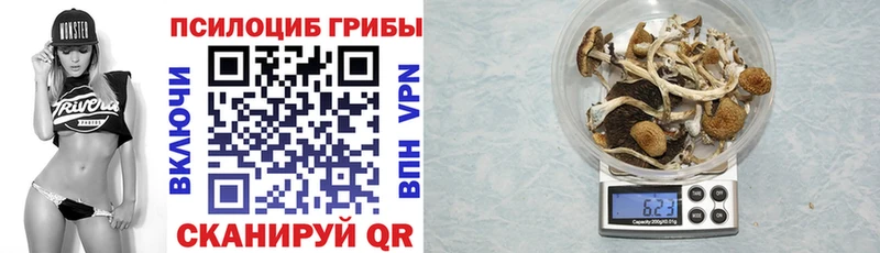 Псилоцибиновые грибы ЛСД  ОМГ ОМГ вход  Королёв 